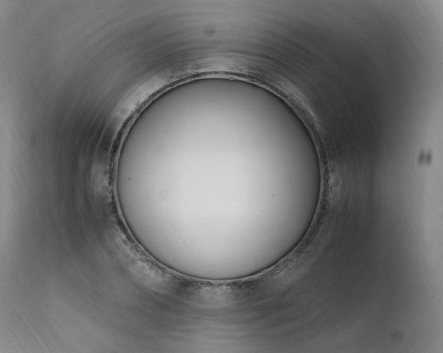 X0000111950882200907271434