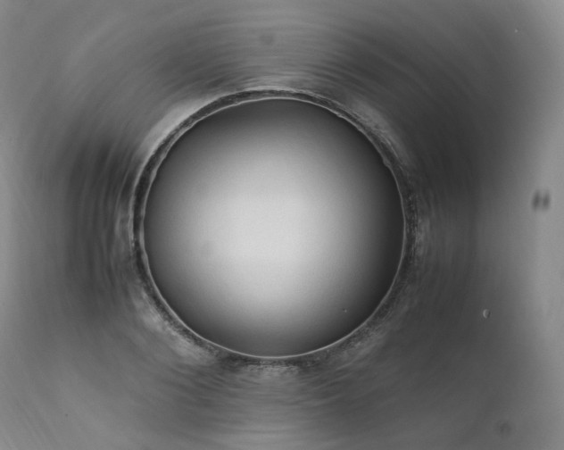 X0000111950884200907271434