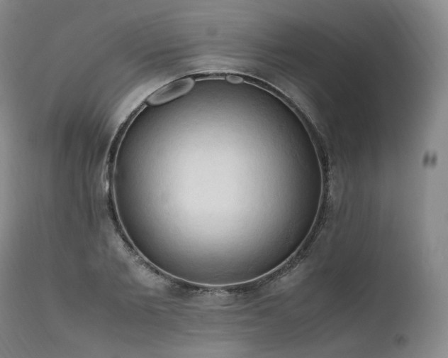 X0000111950885200907271434