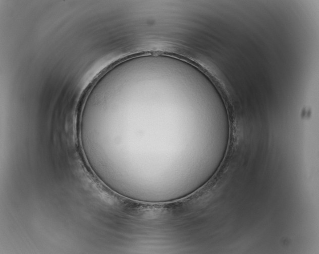 X0000111950886200907271434