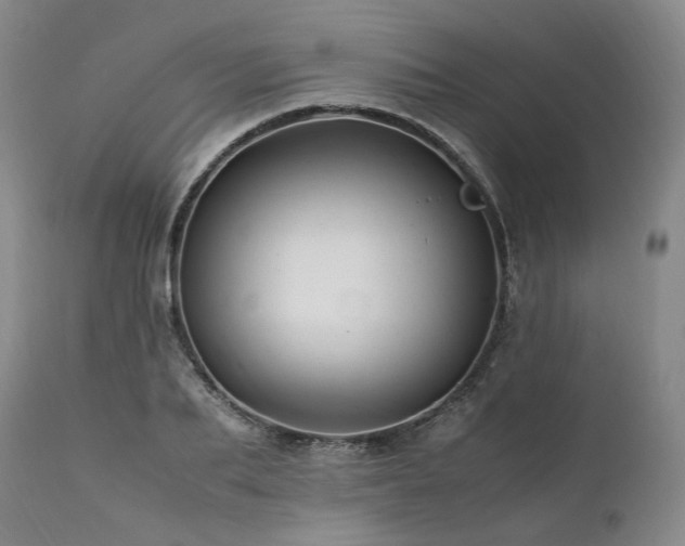 X0000111950887200907271434
