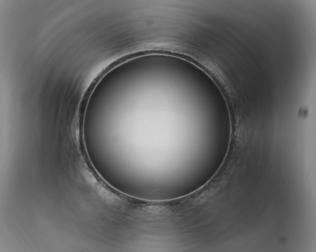 X0000111950888200907271434
