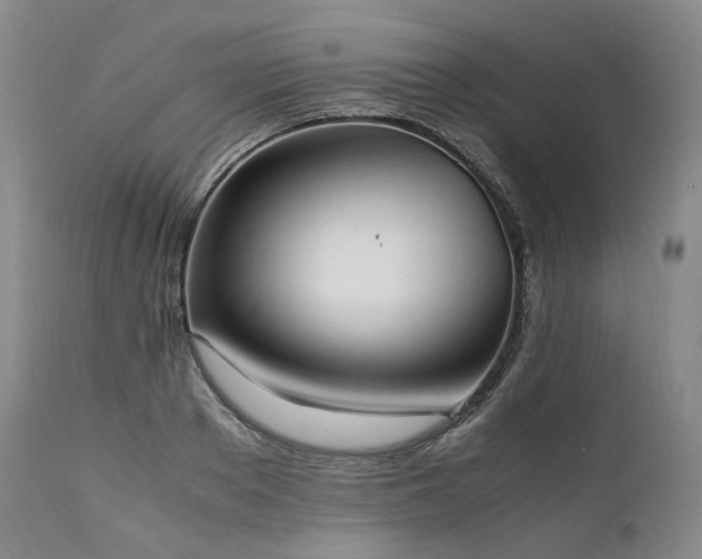 X0000111950889200907271434