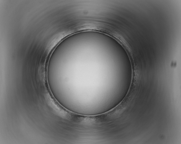 X0000111950890200907271434