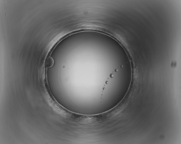 X0000111950891200907271434
