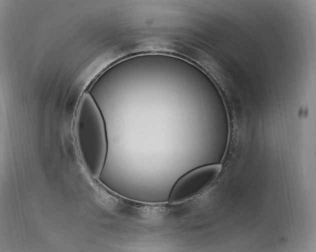 X0000111950893200907271434