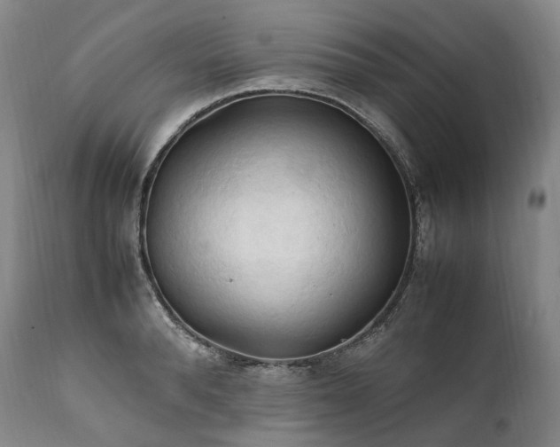 X0000111950896200907271434