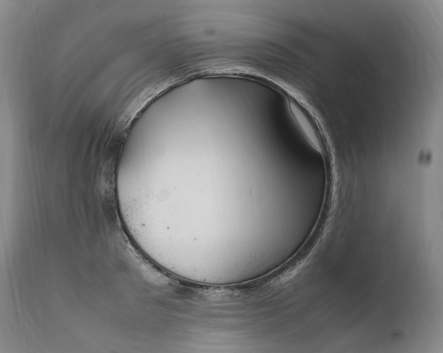 X0000111950897200907271434