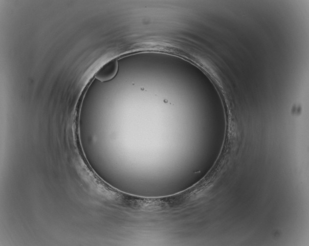 X0000111950899200907271434