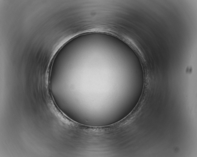 X0000111950900200907271434