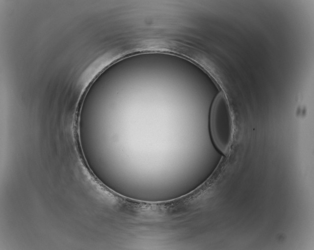 X0000111950901200907271434