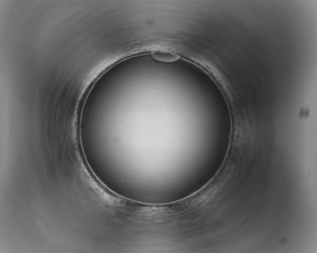 X0000111950902200907271434
