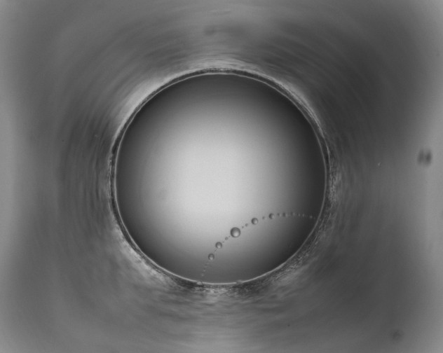 X0000111950903200907271434