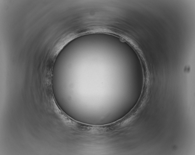 X0000111950905200907271434