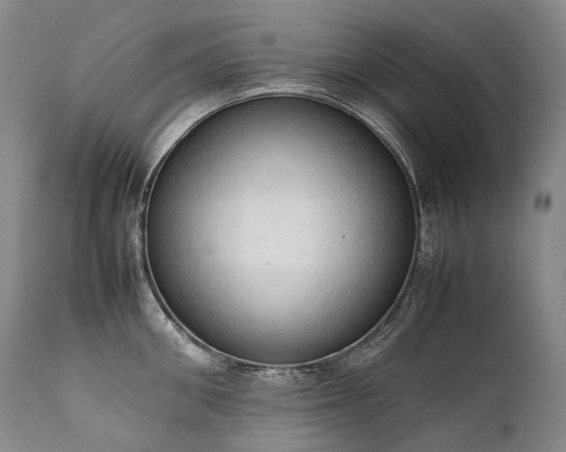 X0000111950906200907271434