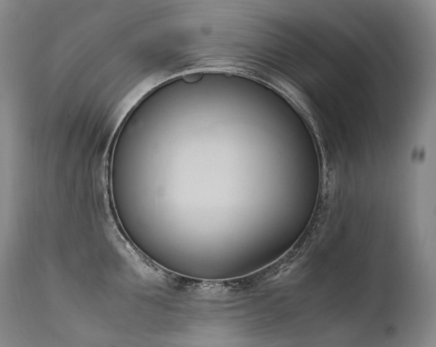 X0000111950907200907271434
