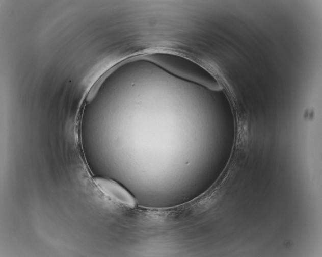 X0000111950908200907271434