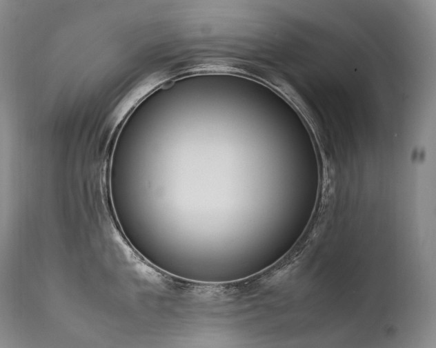 X0000111950909200907271434