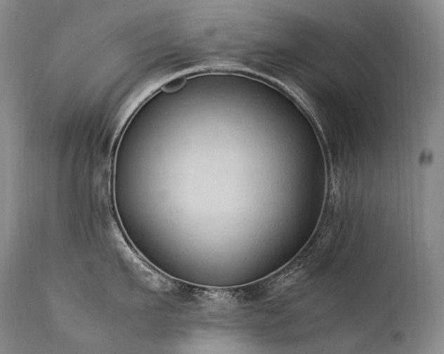 X0000111950911200907271434