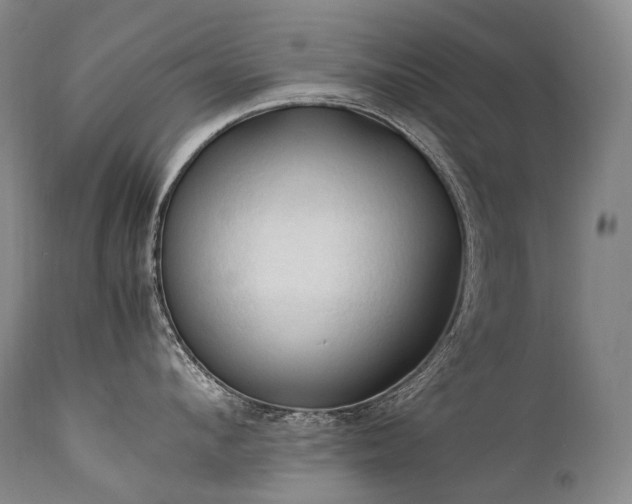 X0000111950912200907271433