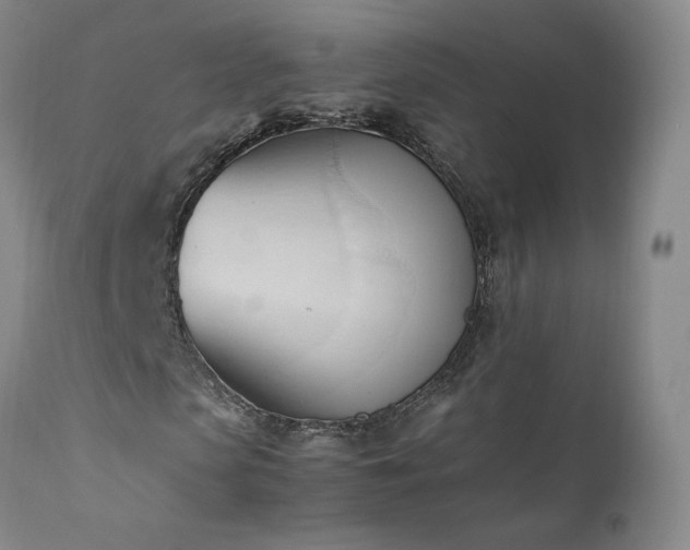 X0000111950913200907271433