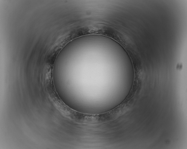 X0000111950914200907271433
