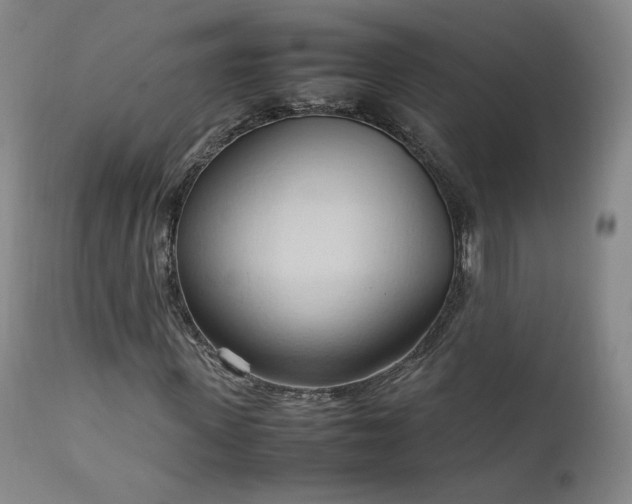 X0000111950915200907271433