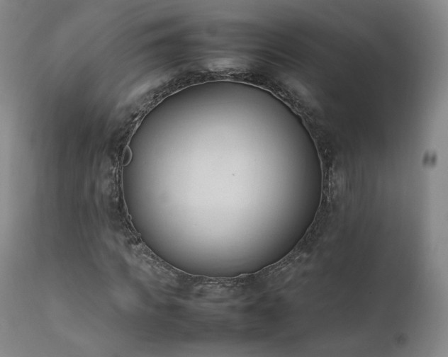X0000111950917200907271433