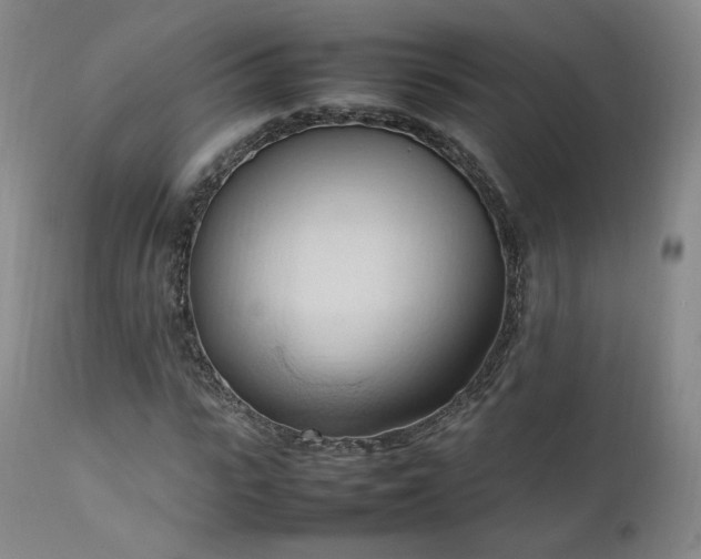 X0000111950919200907271433