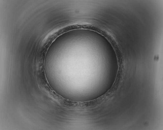 X0000111950920200907271433