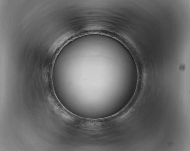 X0000111950921200907271433