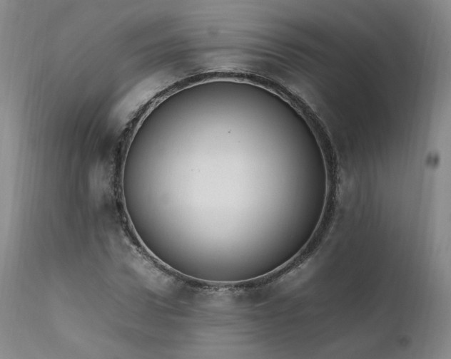 X0000111950922200907271433