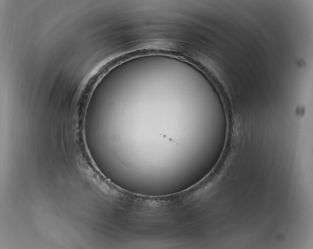 X0000111950923200907271433