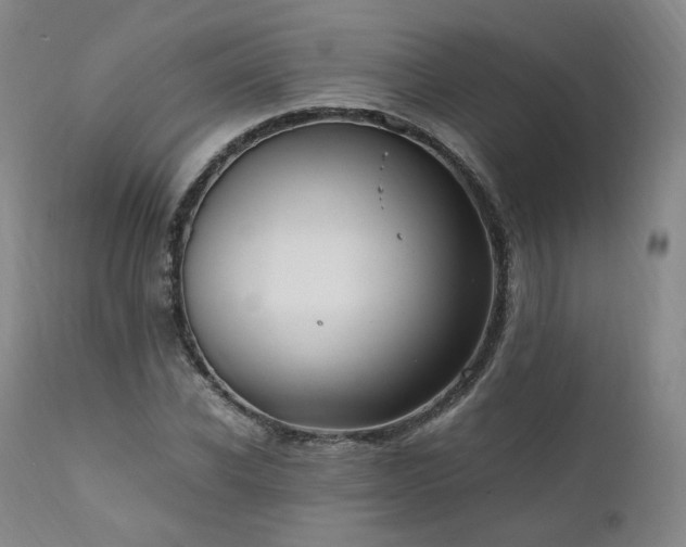 X0000111950926200907271433