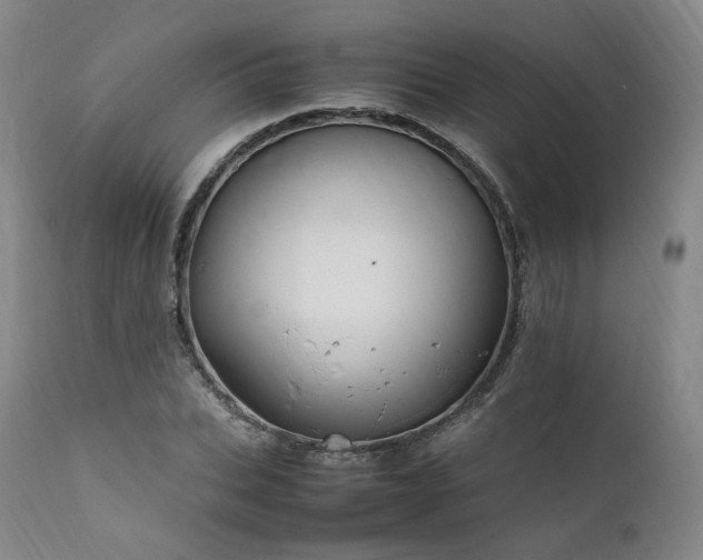 X0000111950927200907271433