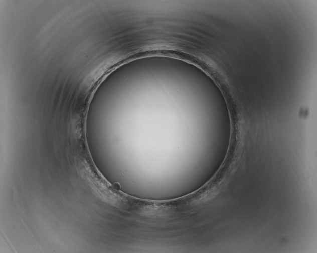 X0000111950929200907271433
