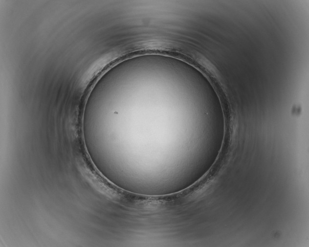 X0000111950930200907271433