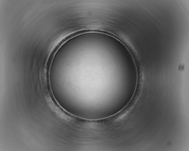 X0000111950932200907271433