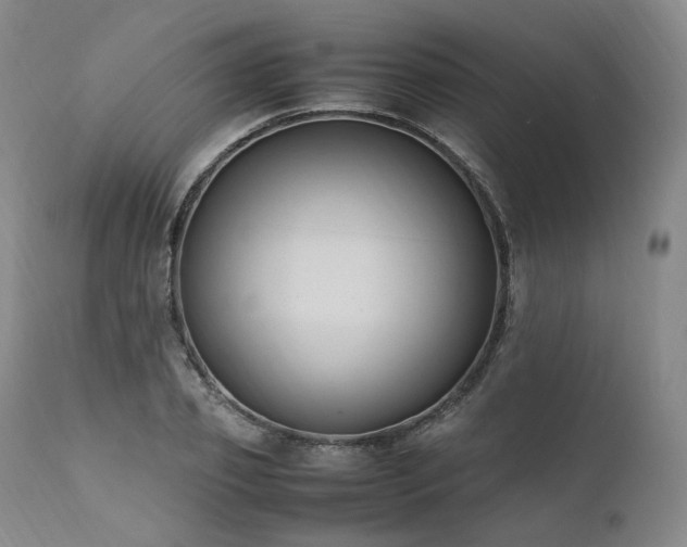 X0000111950933200907271433