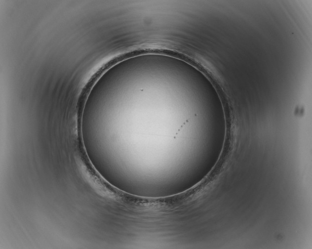 X0000111950934200907271433