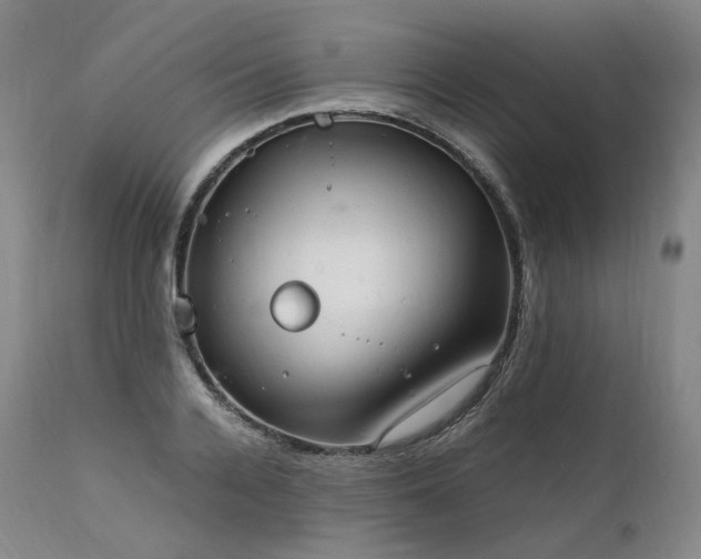 X0000111950936200907271433
