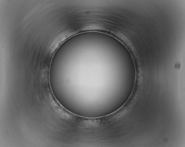 X0000111950937200907271433