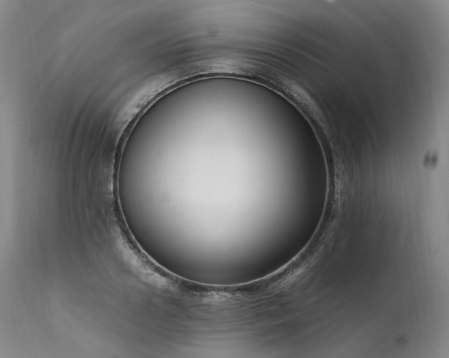 X0000111950938200907271433