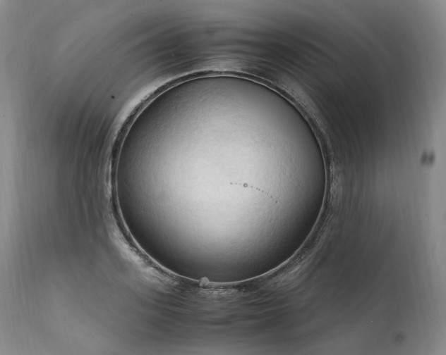 X0000111950939200907271433