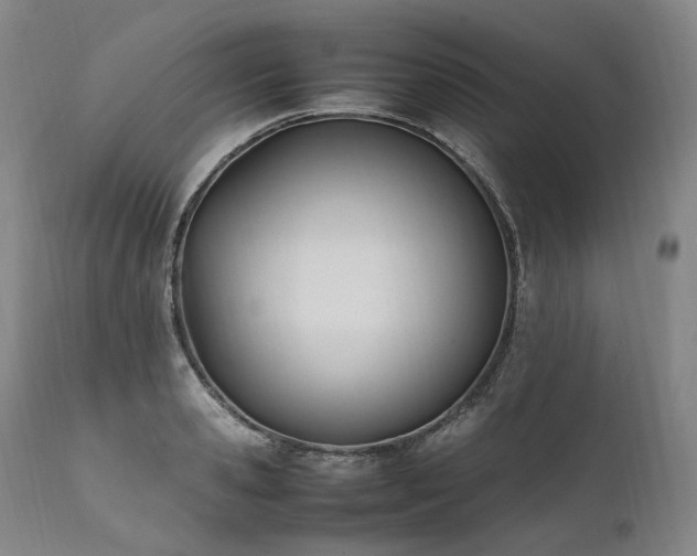 X0000111950941200907271433