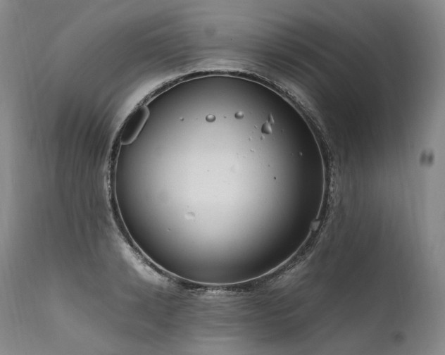 X0000111950942200907271433