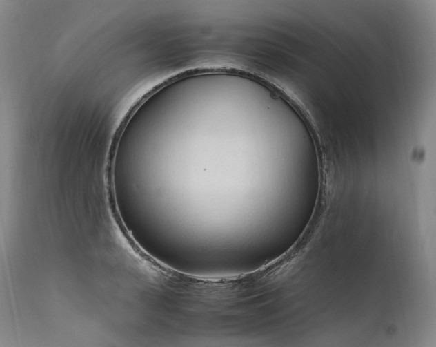 X0000111950943200907271433
