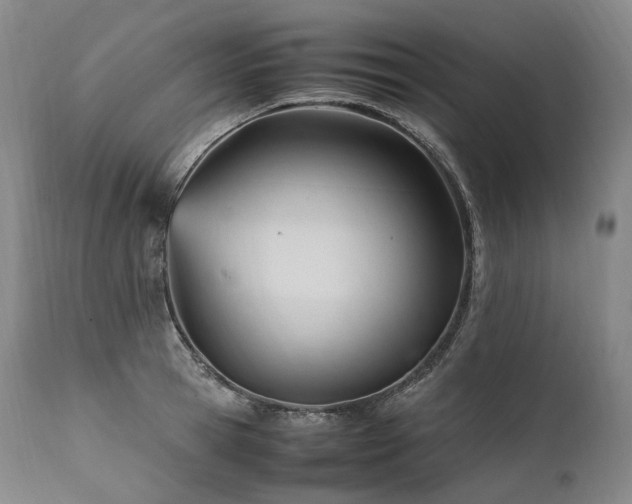 X0000111950945200907271433