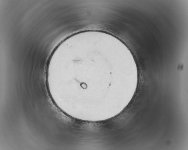 X0000111950950200907271433