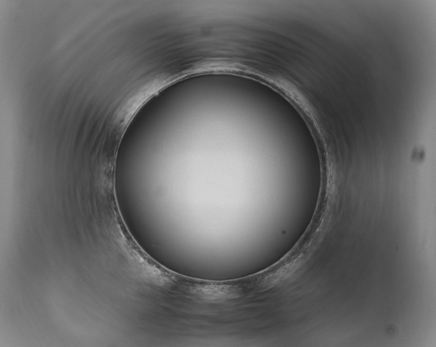 X0000111950953200907271433